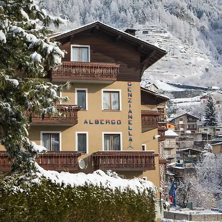 Genzianella Chiesa in Valmalenco